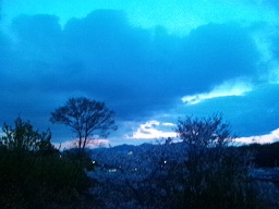 美しいブルーの世界